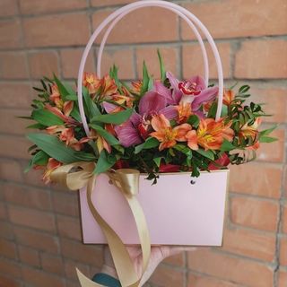 ასტრომერიები ჩანთაში