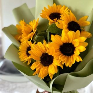 მზესუმზირების თაიგული