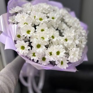 ქრიზანთემები