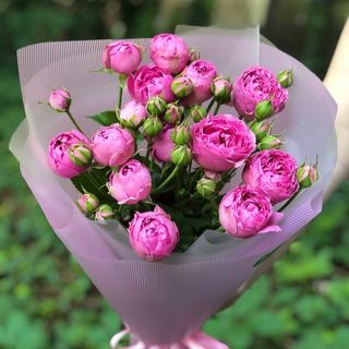 სპრეი ვარდების თაიგული