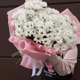 ქრიზანთემები