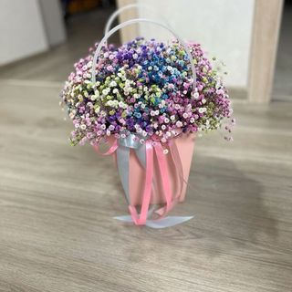 გიფსოფილა