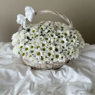 ქრიზანთემები კალათით