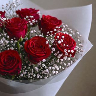 წითელი ვარდი და გიფსოფილები(10ც)