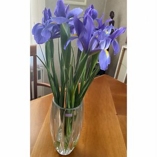 ირისები ლარნაკით