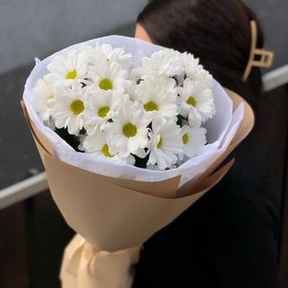 ქრიზანთემები