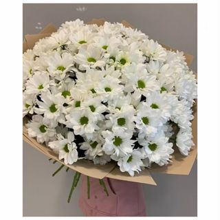 ქრიზანთემები