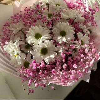 ქრიზანთემა და გიფსოფილები