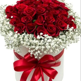 ბოქსი წითელი ვარდებით და გიფსოფილებით