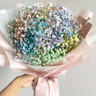 გიფსოფილების კომპოზიცია