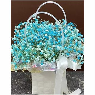 გიფსოფილები ჩანთით