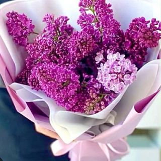 იასამნები