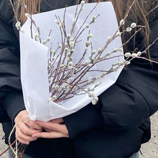 ვერბა 5 ტოტი