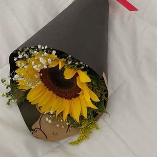 მზესუმირა