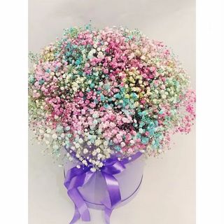 გიფსოფილების კომპოზიცია