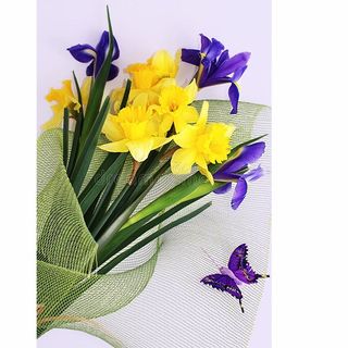 ნარცისები და ირისები