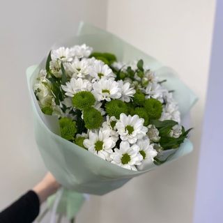 ჰოლანდიური ქრიზანთემების მიქსი