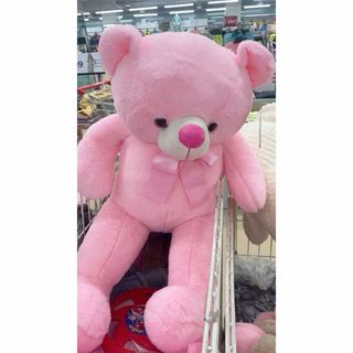 ვარდისფერი დათუნია (100სმ)