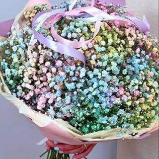 ფერადი გიფსოფილები