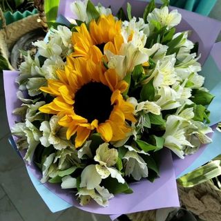 მზესუმზირები და ასტრომერიები