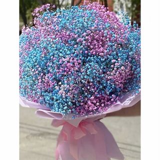 ფერადი გიფსოფილები