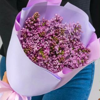 იასამნების თაიგული