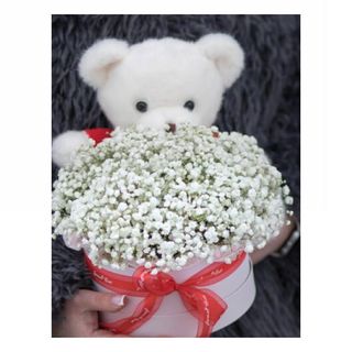 დათუნია გიფსოფილებთან ერთად