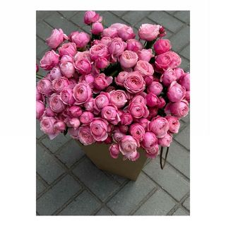 სპრეი ვარდების თაიგული ჩანთით