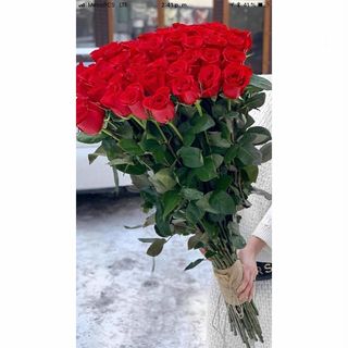 ჰოლანდიური წითელი ვარდები (50 ც)