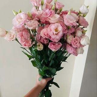 ვარდისფერი ეუსტომების თაიგული