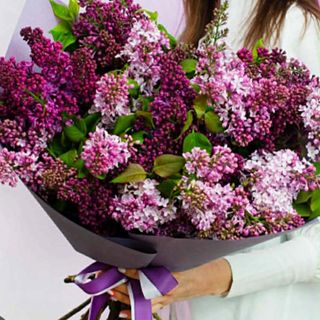 იასამნები