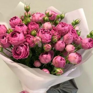 სპრეი ვარდების თაიგული