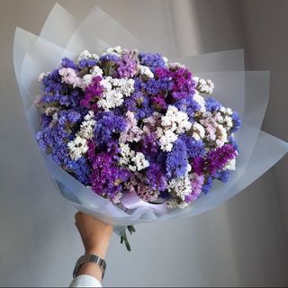 ფერადი ლიმონიუმები