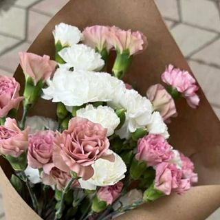 ფერადი მიხაკი 10 ტოტი