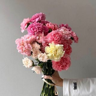 ფერადი მიხაკი 20 ტოტი