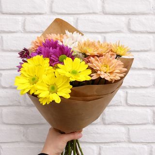 ფერადი ქრიზანთემა 5 ტოტი