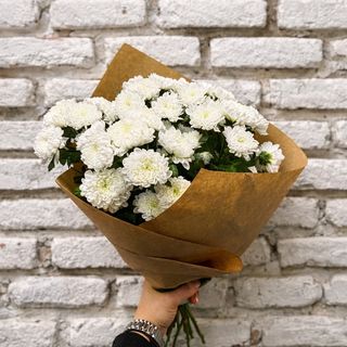 ჰოლანდიური ქრიზანთემა 5 ტოტი