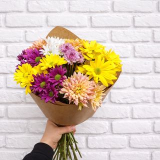 ფერადი ქრიზანთემა 15 ტოტი