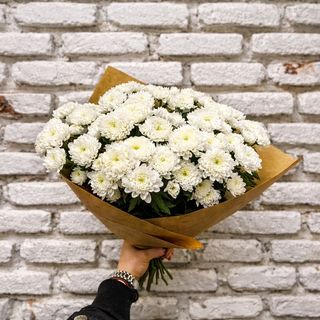 ჰოლანდიური ქრიზანთემა 10 ტოტი