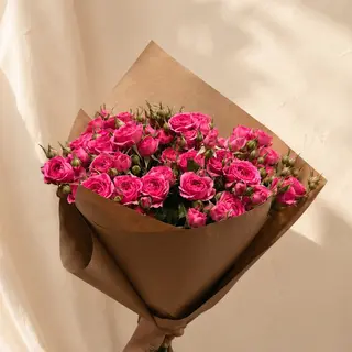ჟოლოს სპრეი ვარდები S