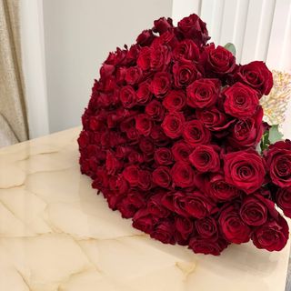 100 ჰოლანდიური ვარდი