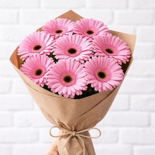 ვარდისფერი გერბერა 8 ტოტი