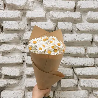 გვირილა S