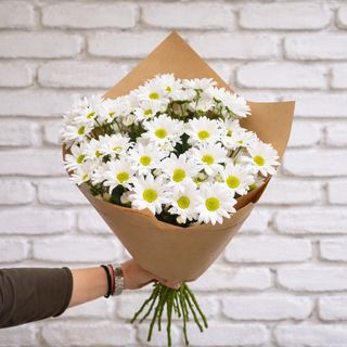 თეთრი ქრიზანთემა 10 ტოტი