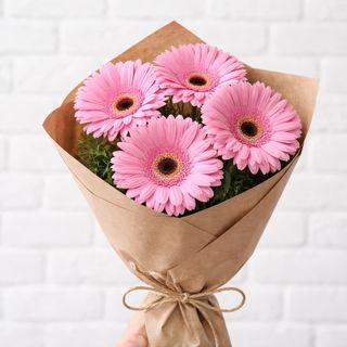 ვარდისფერი გერბერა 4 ტოტი