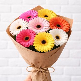 ფერადი გერბერა 8 ტოტი