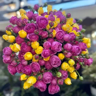 ჰოლანდიური სპრეი ვარდები.