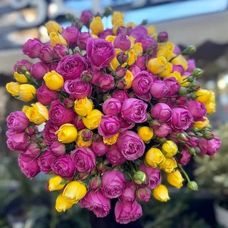 ჰოლანდიური სპრეი ვარდები.