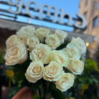 თეთრი ჰოლანდიური ვარდი 15ც