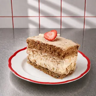 სენატორი